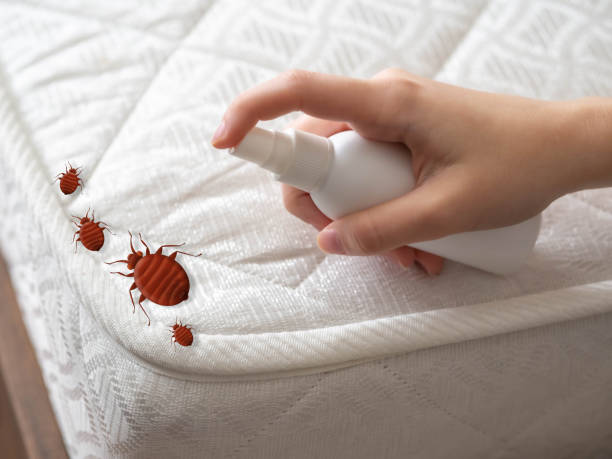 Best Best Pest Control Companies  in Delisle, MS